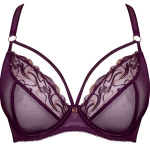NWT Gorgeous Scantilly Bra, Purple w/Copper Accents, UK Size 30F/US Size 30G
